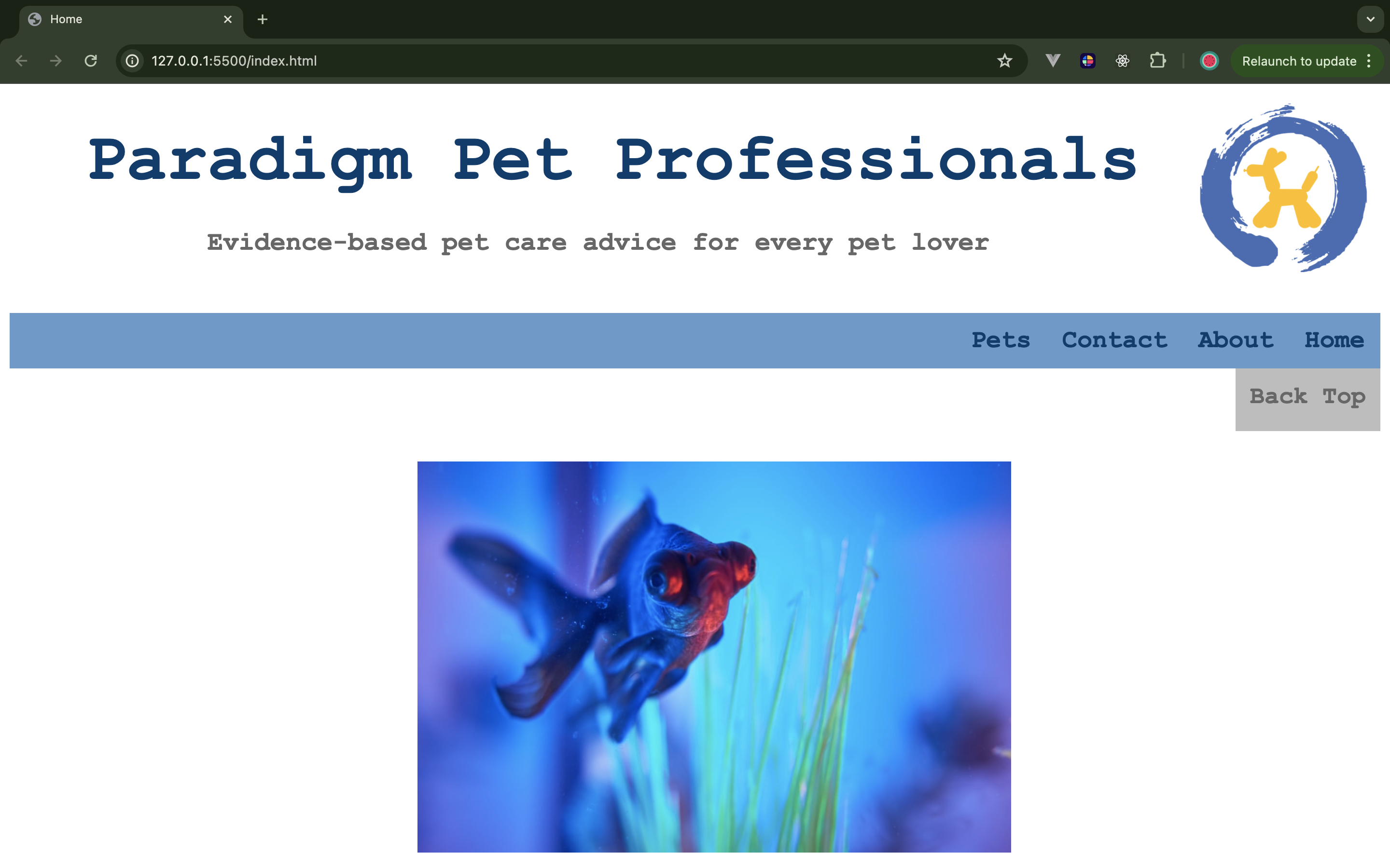 Paradigm Pet